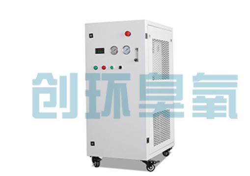 楚雄石斑鱼养殖水质调控完整指南：臭氧发生器配置与操作步骤